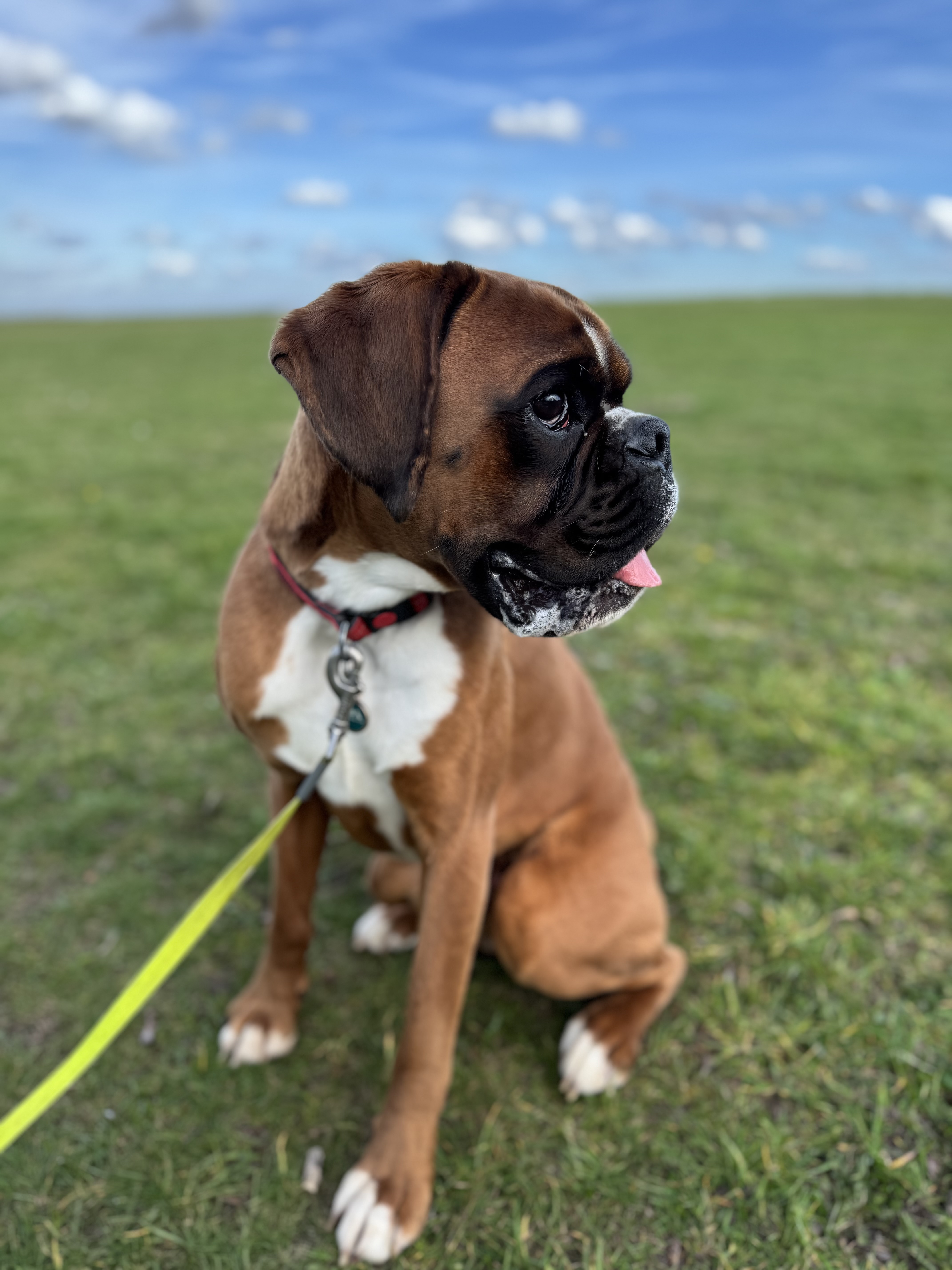 Dexter