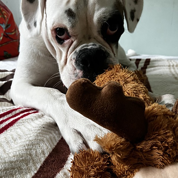 Coco