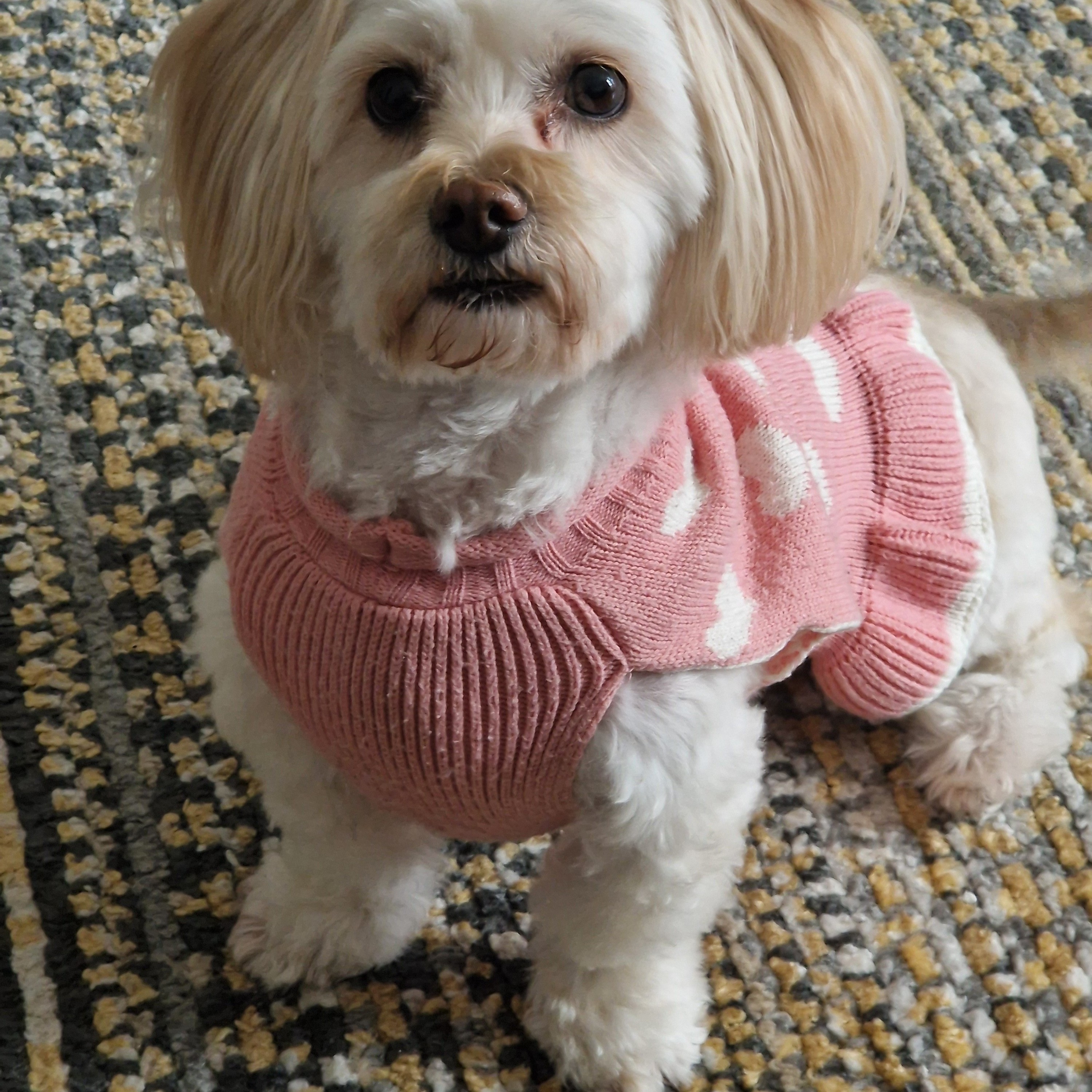 Bella