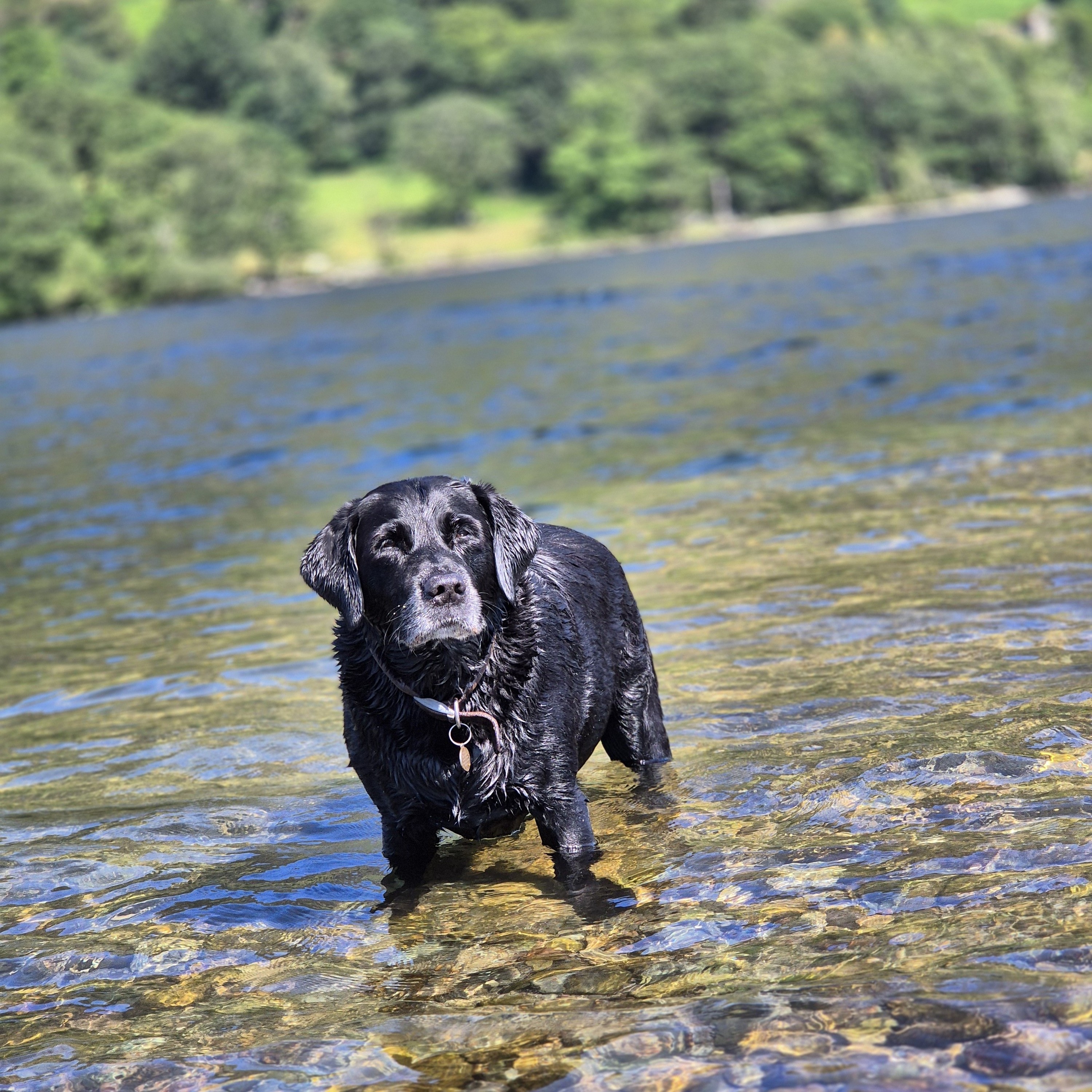Benson