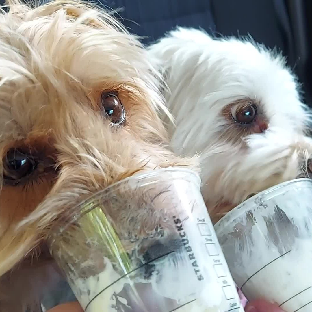 Alfie & Bella