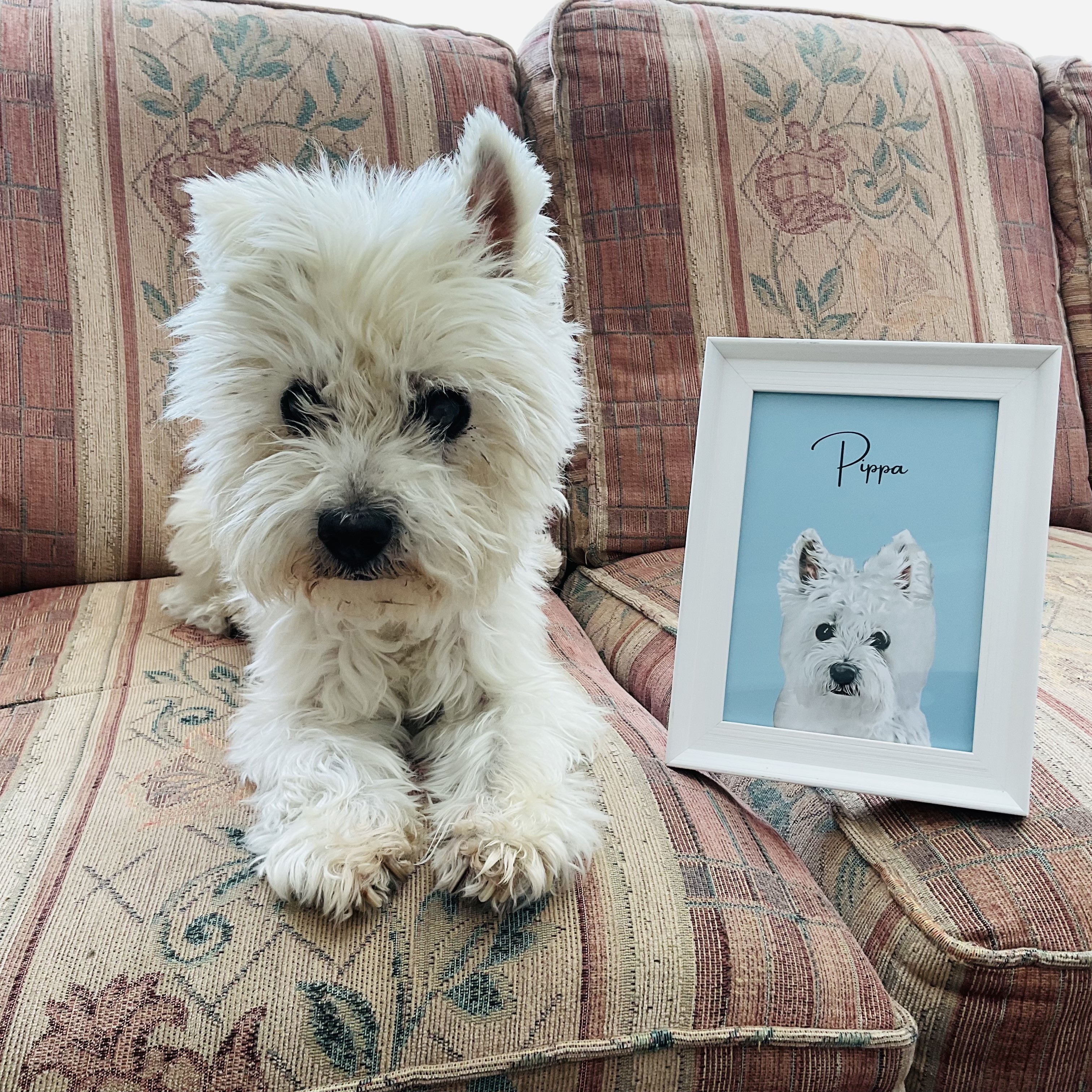 Pippa