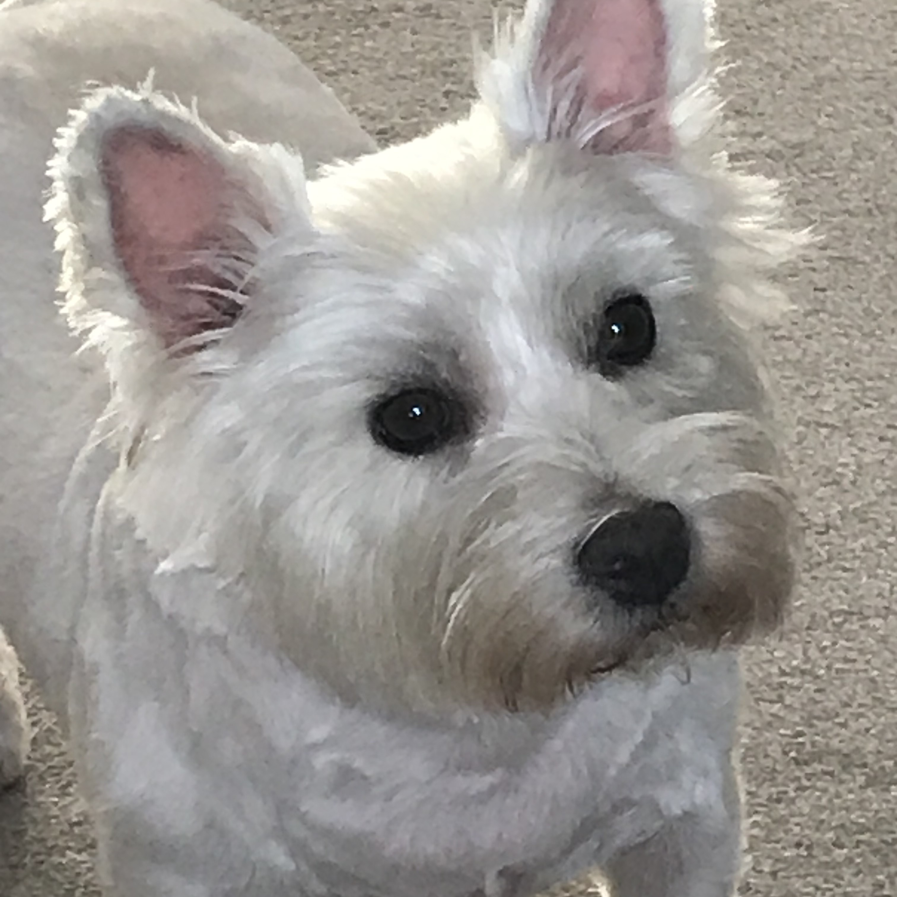 Zoe