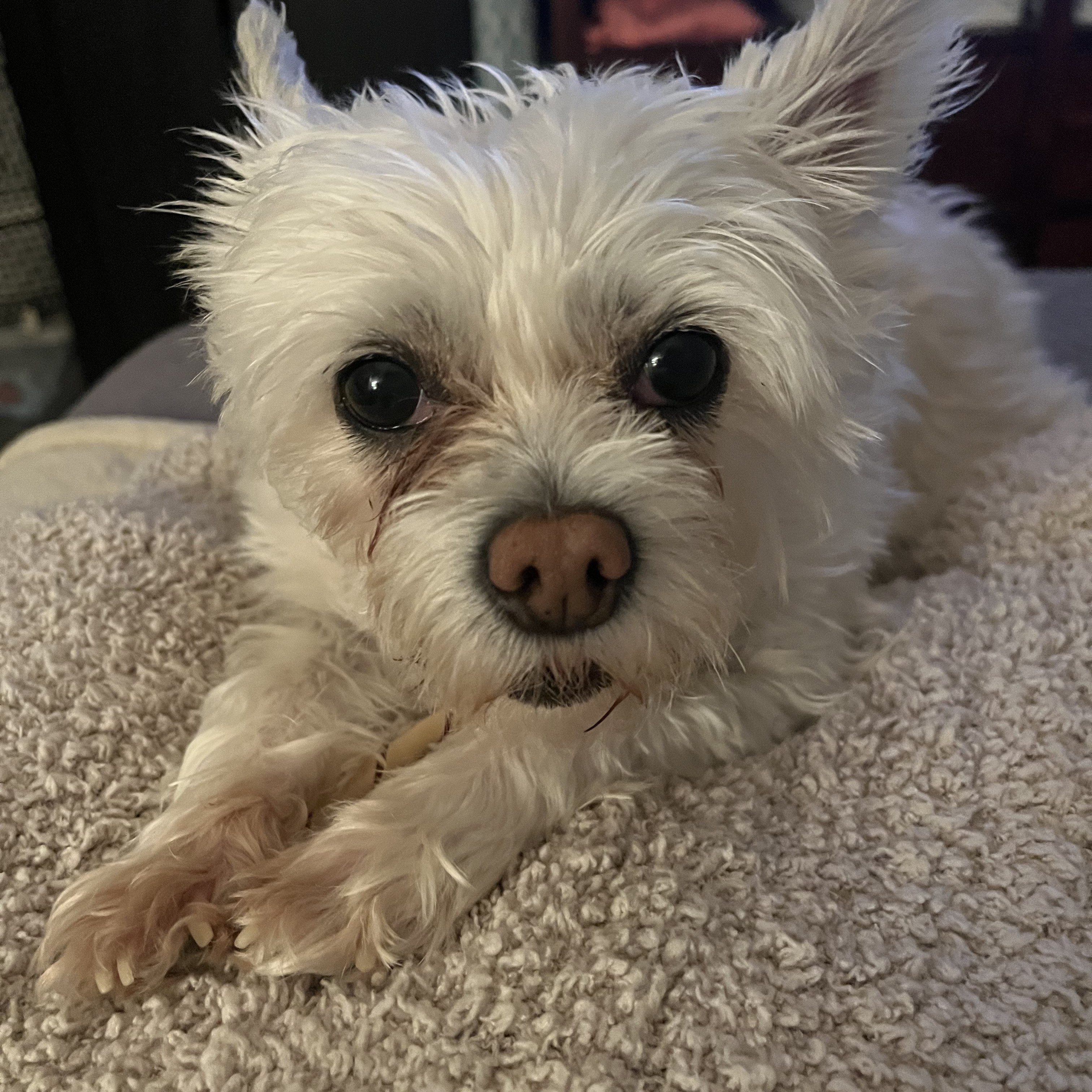 Rosie