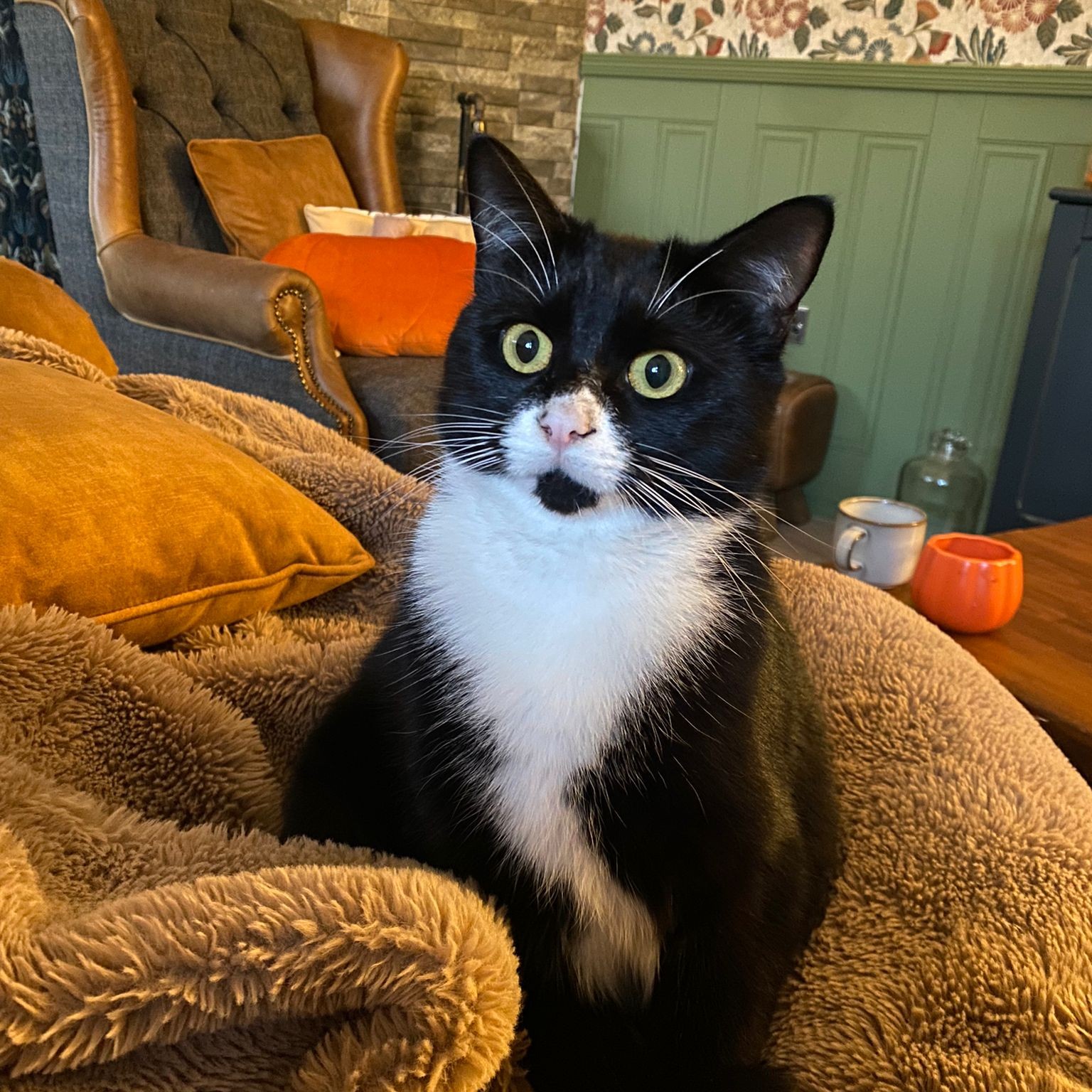 Merlin
