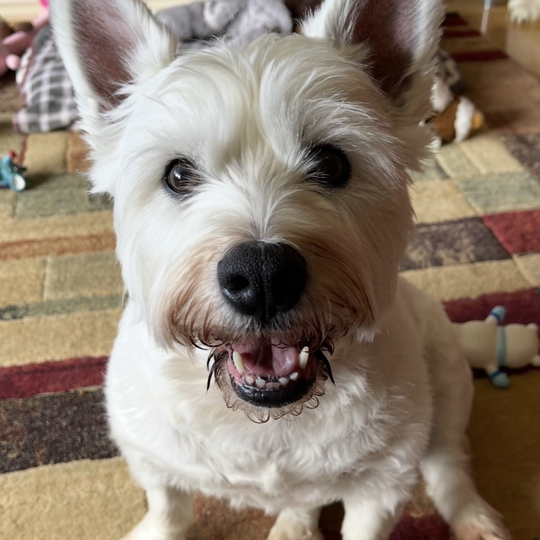 Millie