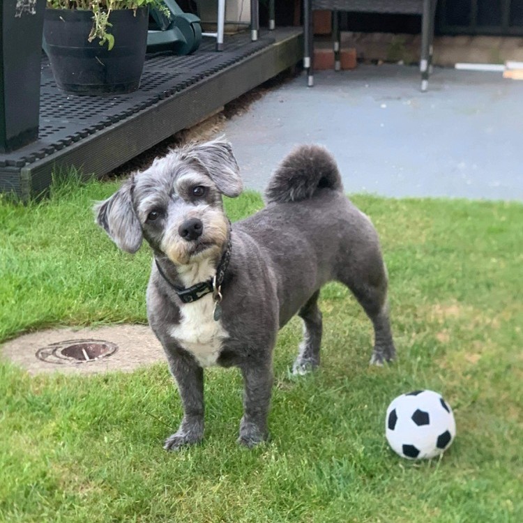 Monty