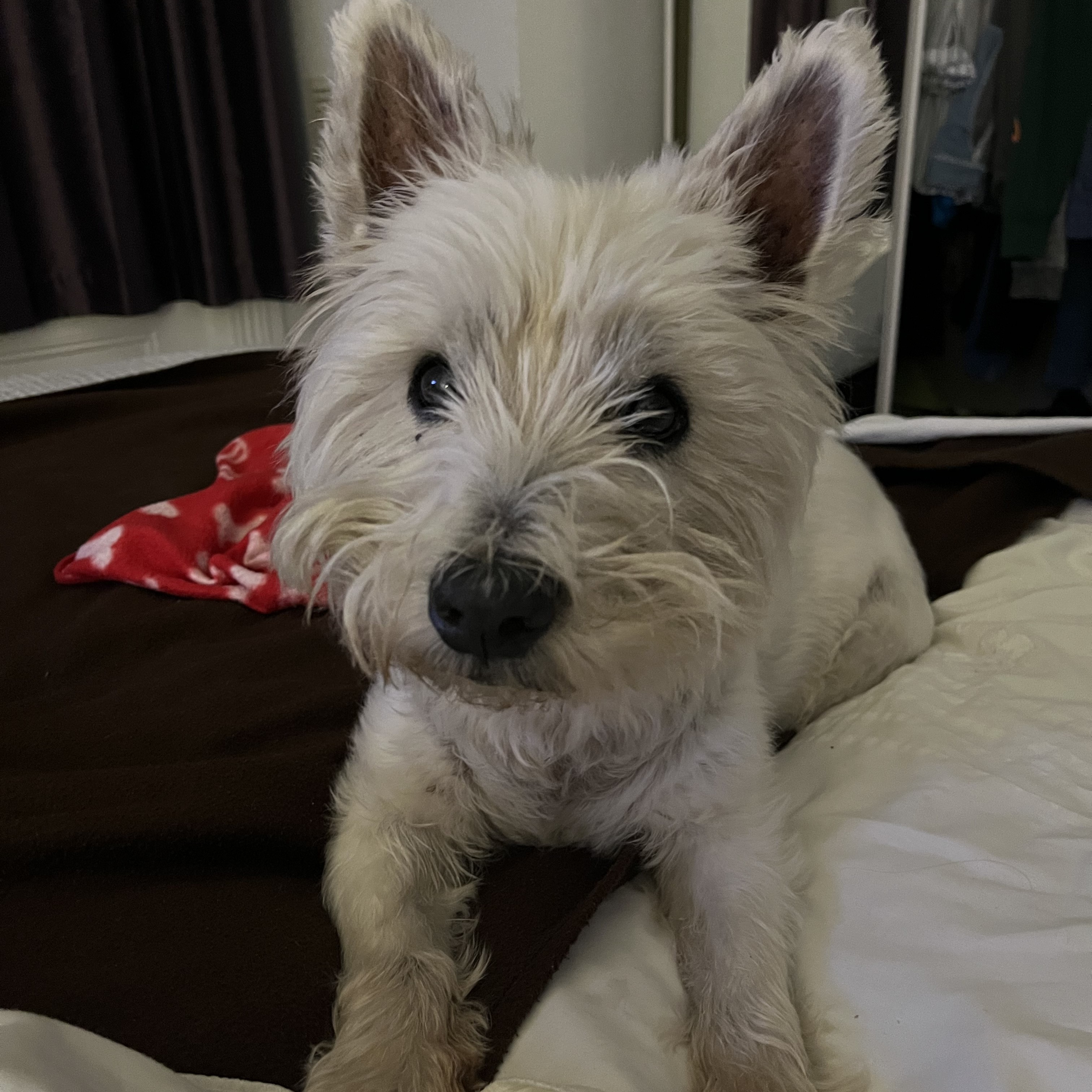 Samson