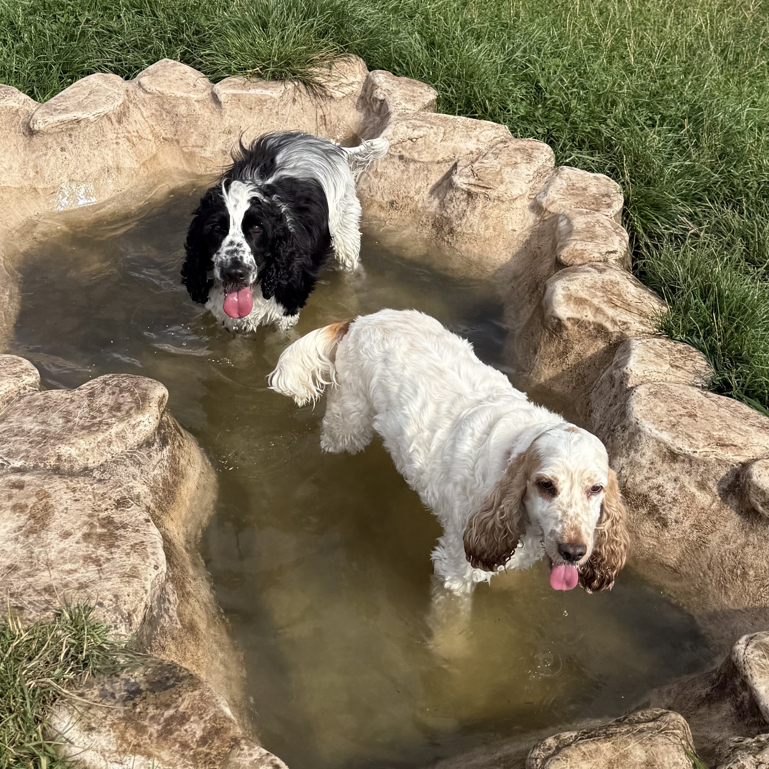Twinkle and Quincey