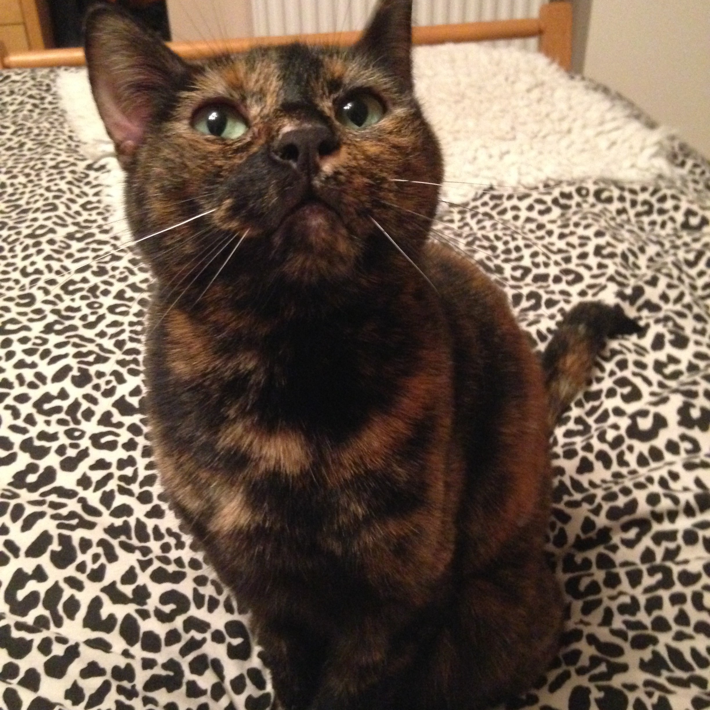 Mika