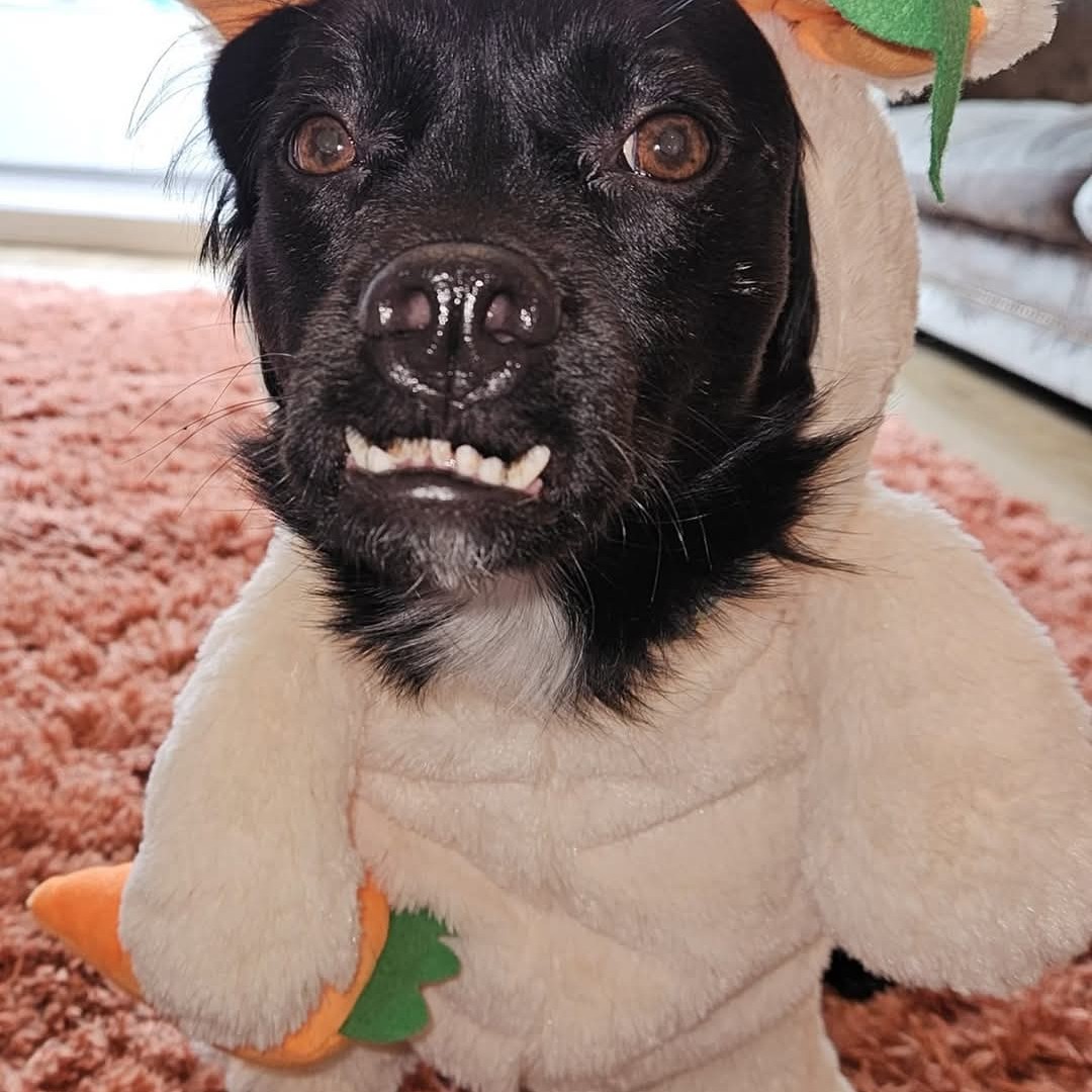 Ernie