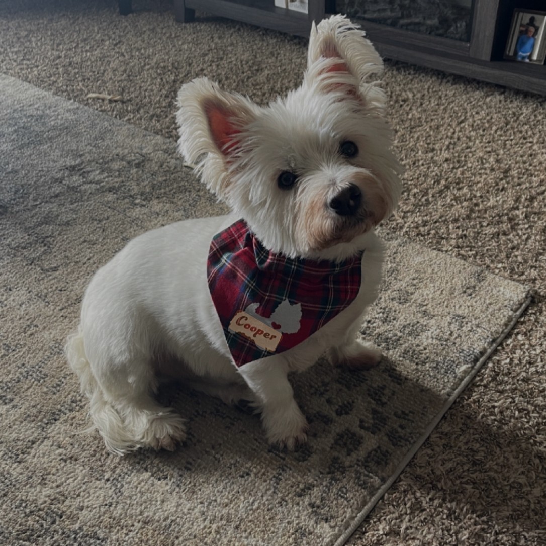 Cooper