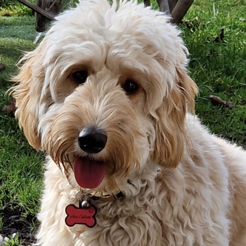 Annie