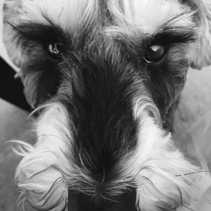 Colin