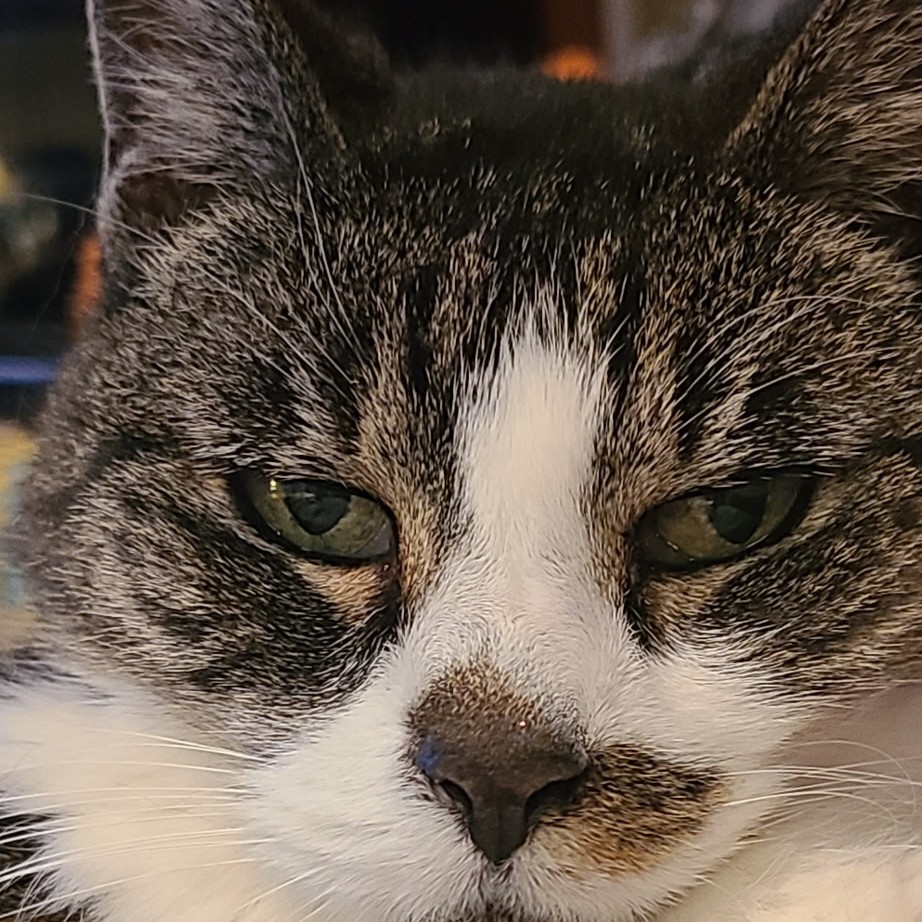 Tootie