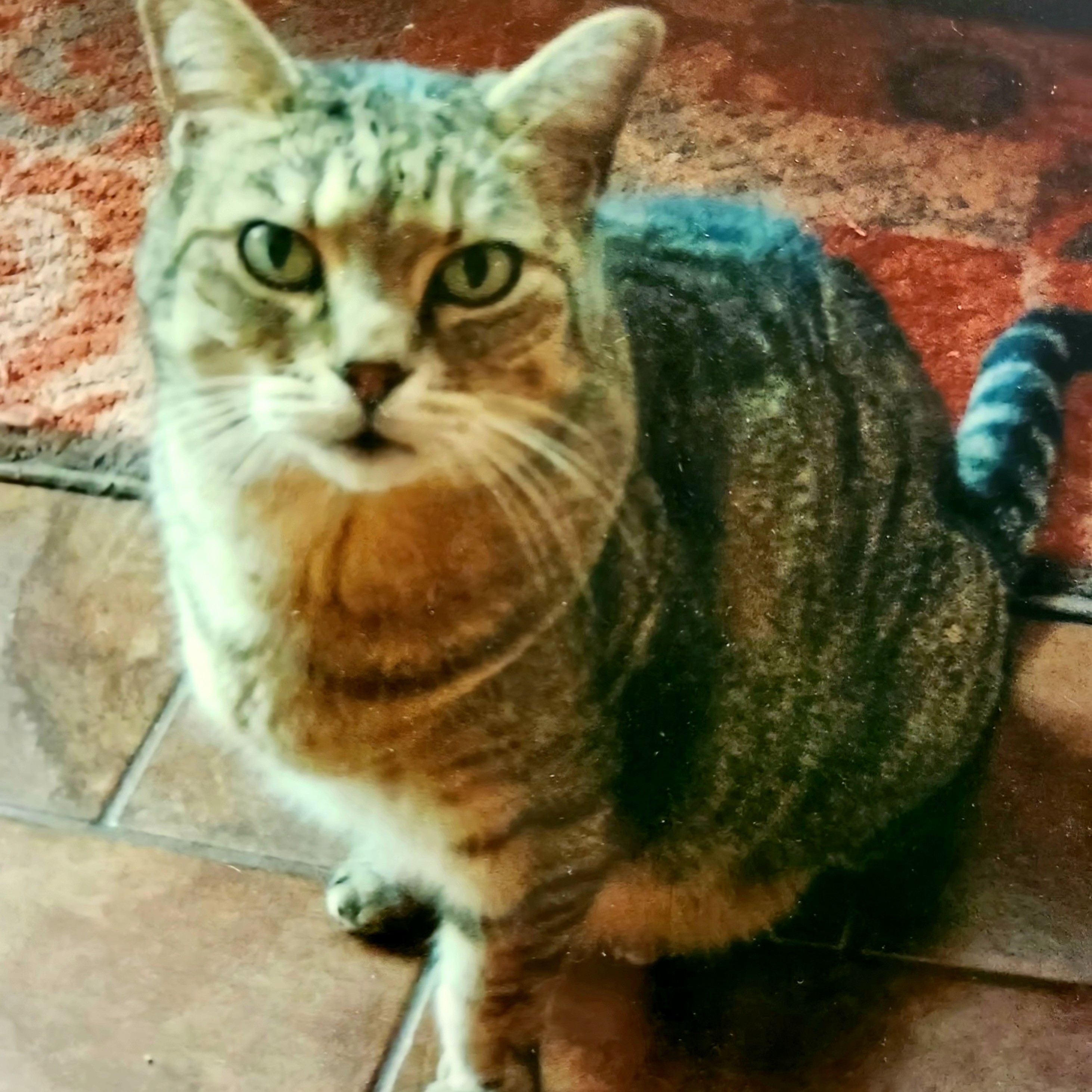 Tigger