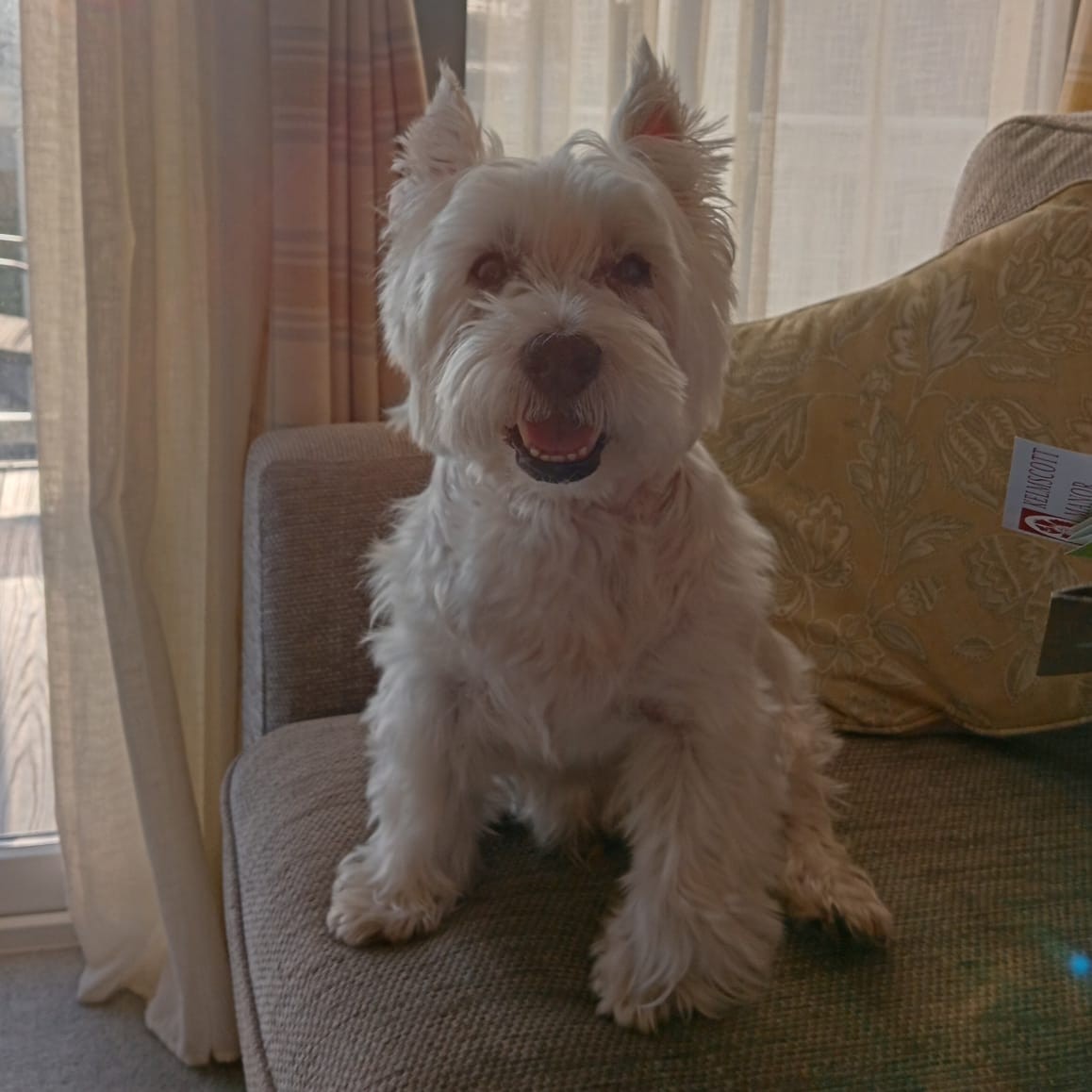 Hamish