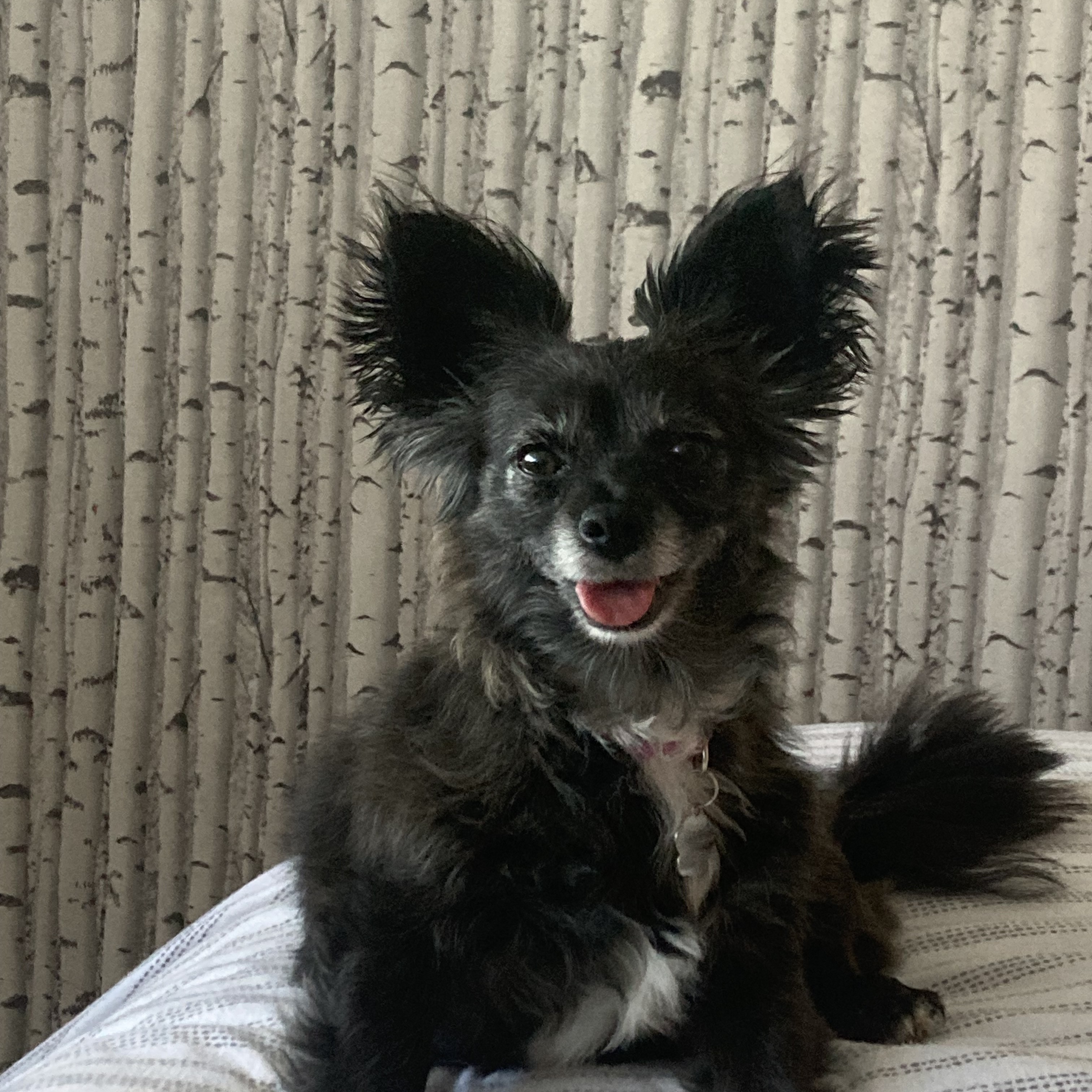 Tilly