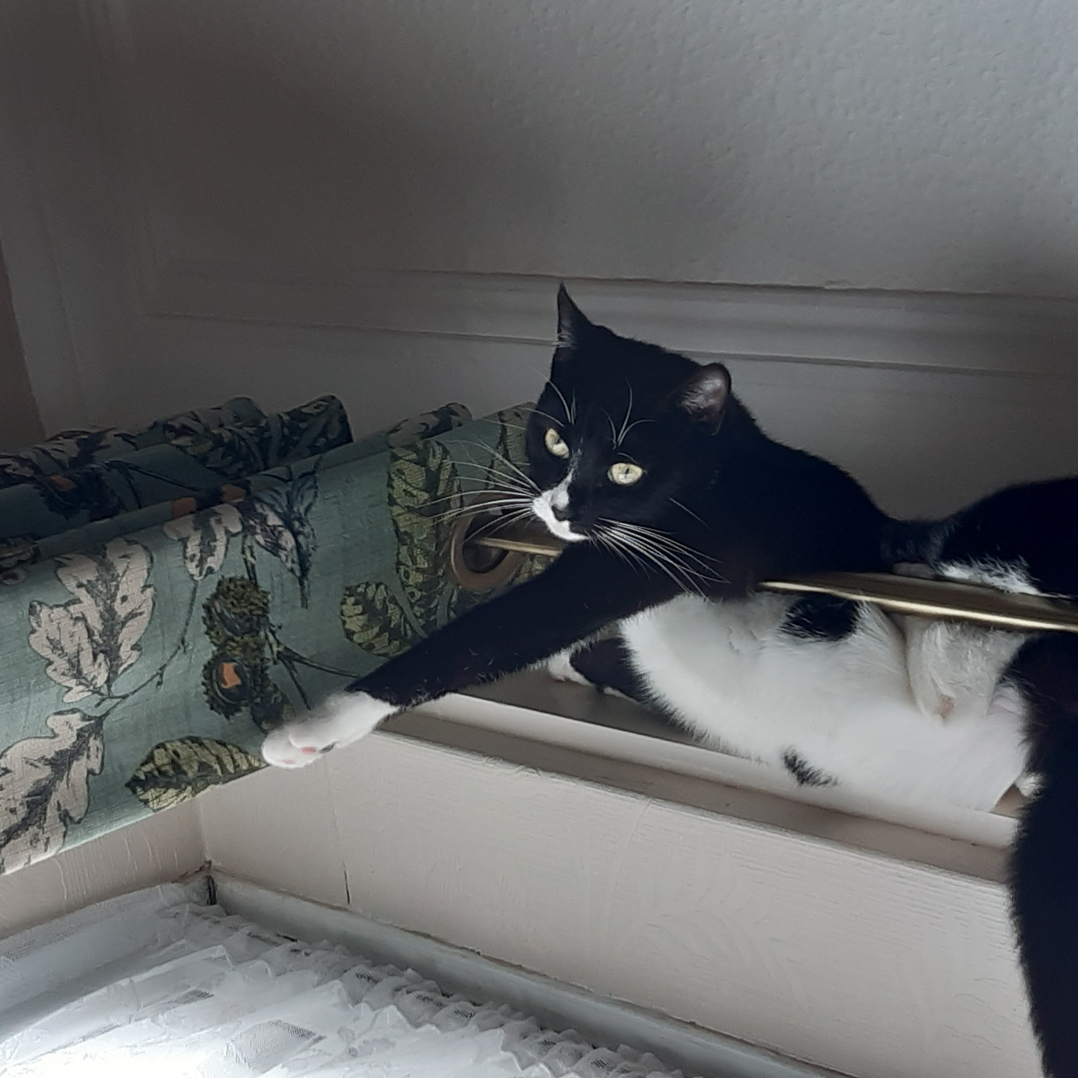 Flossie