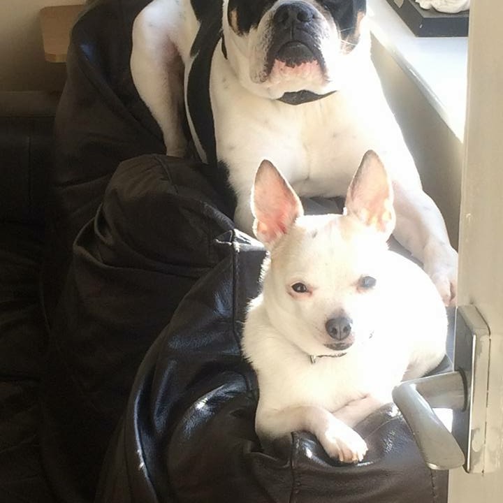 Louie and Captain Turnip