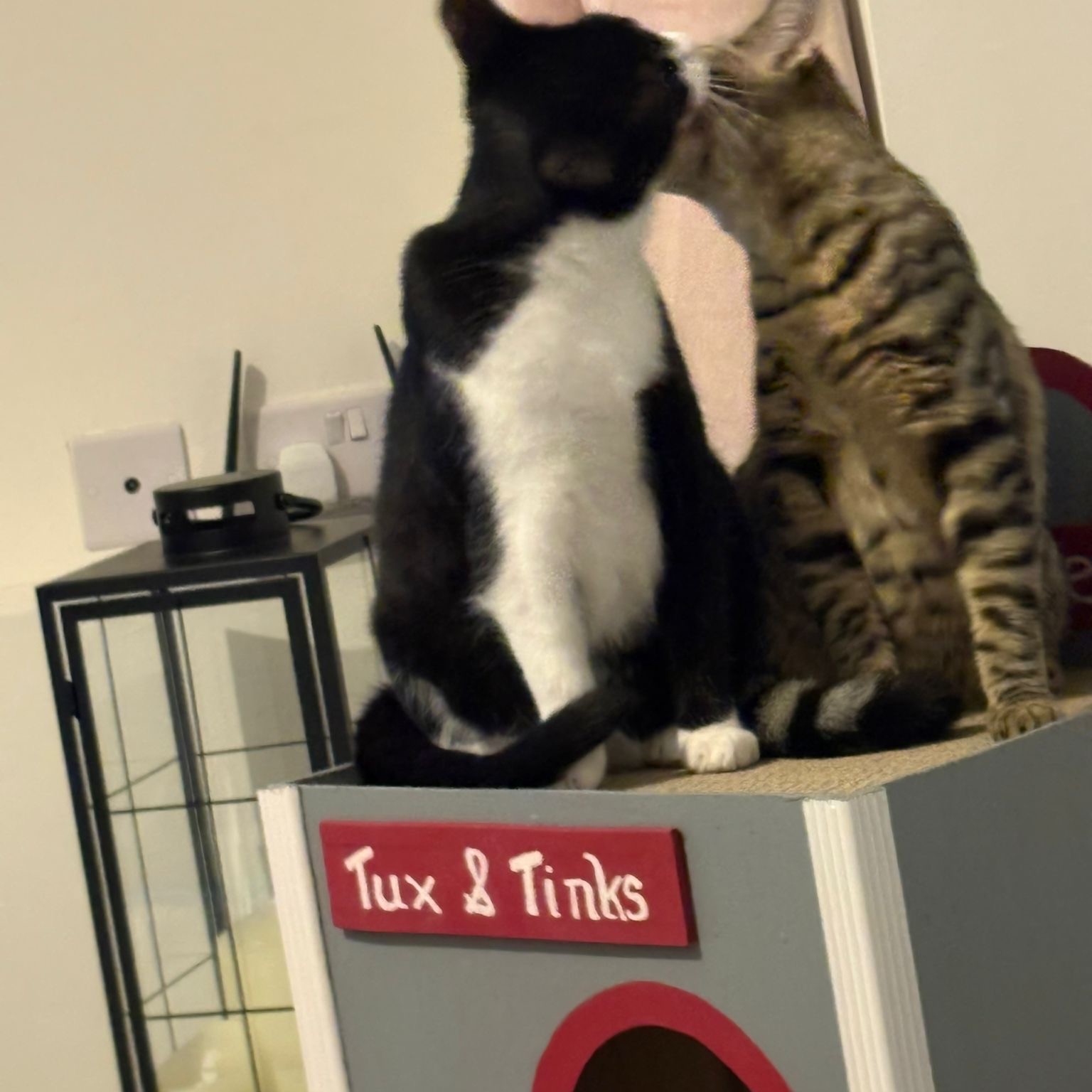 Tinks &Tux