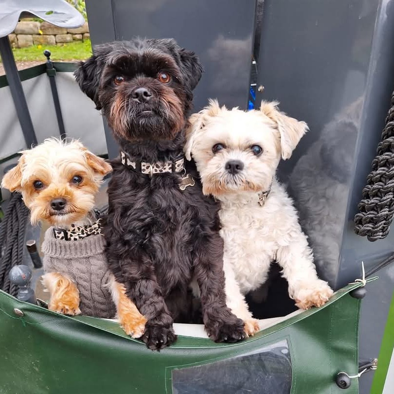 Mollie, Betty and Myla
