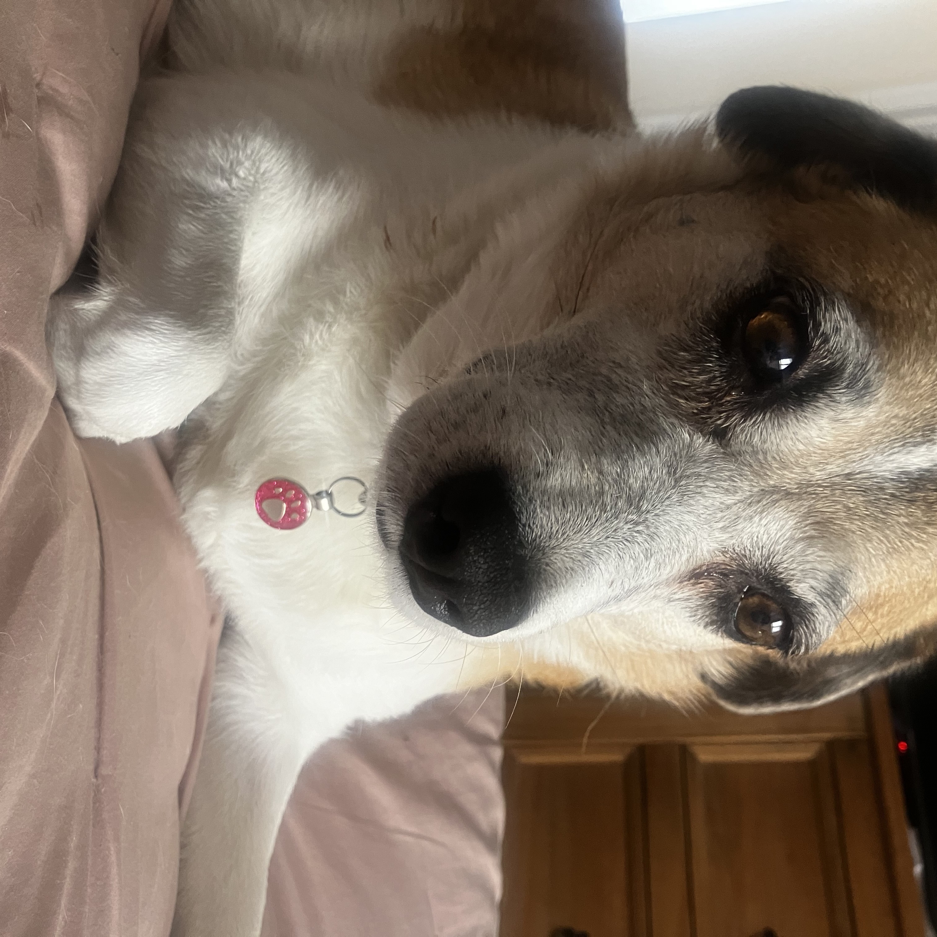 Tilly