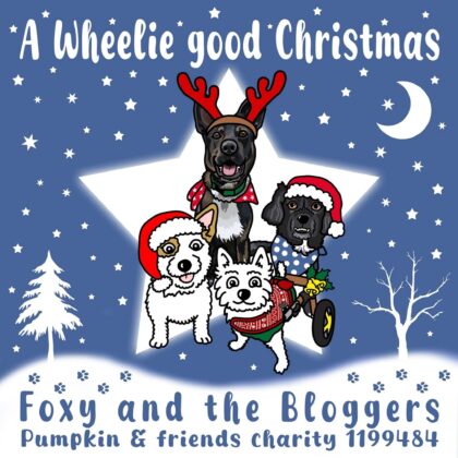A wheelie good Christmas CD