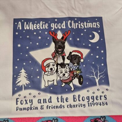 A wheelie good Christmas White T-Shirt